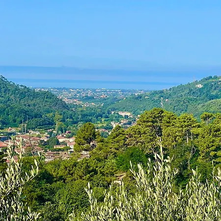 Casa Del Sole Camaiore
