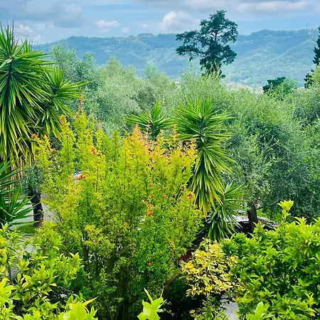 Bed and breakfast Casa Del Sole Camaiore