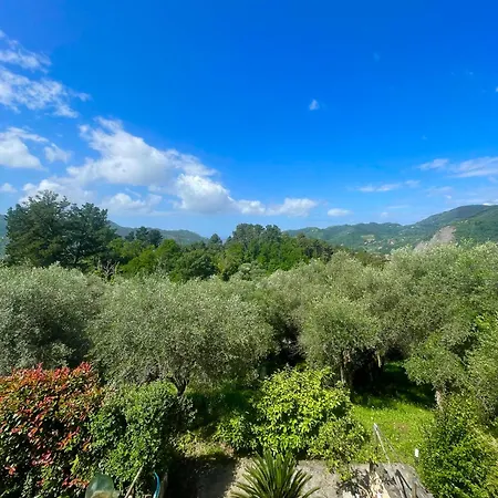 Casa Del Sole Bed and breakfast Camaiore