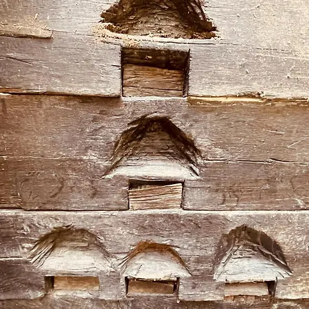 Casa Del Sole كامايوري