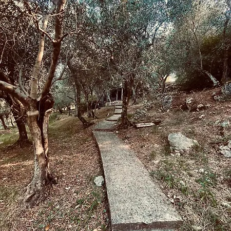 Casa Del Sole كامايوري