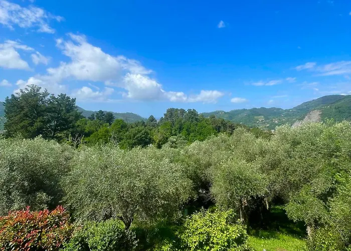 Casa Del Sole B&B 카마이오레